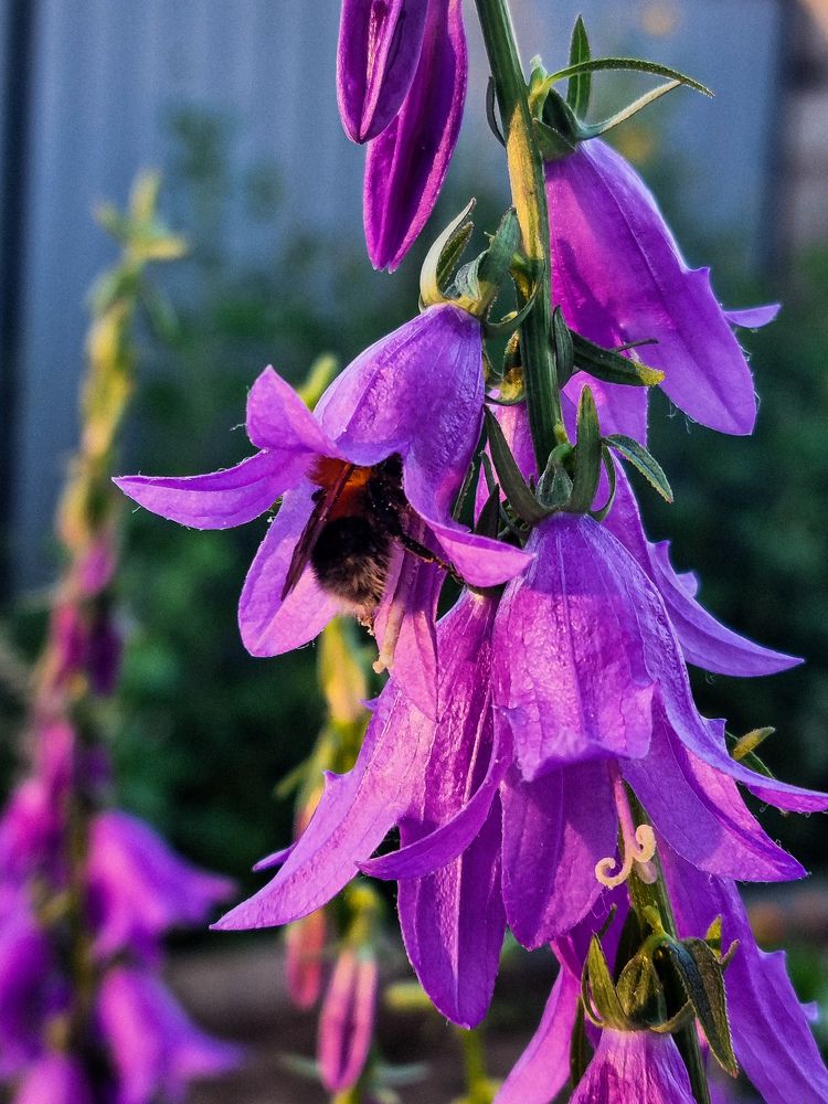 Photograph by Наташа Бурсова