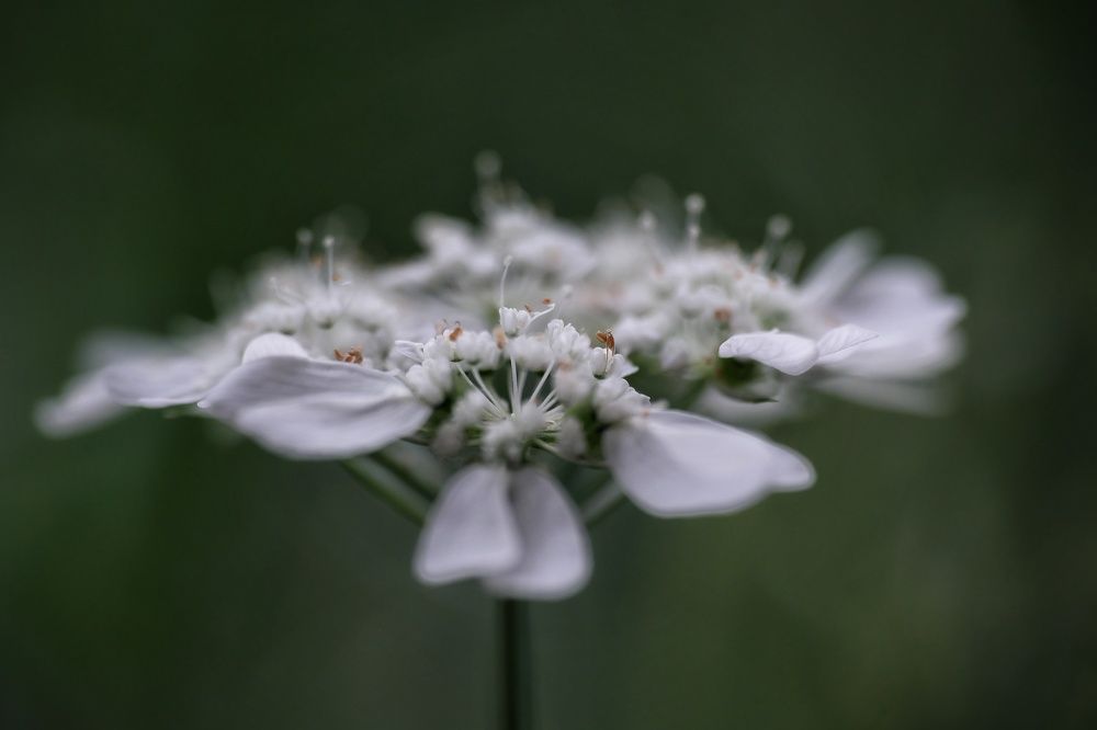 Photograph by Marian Lázaro