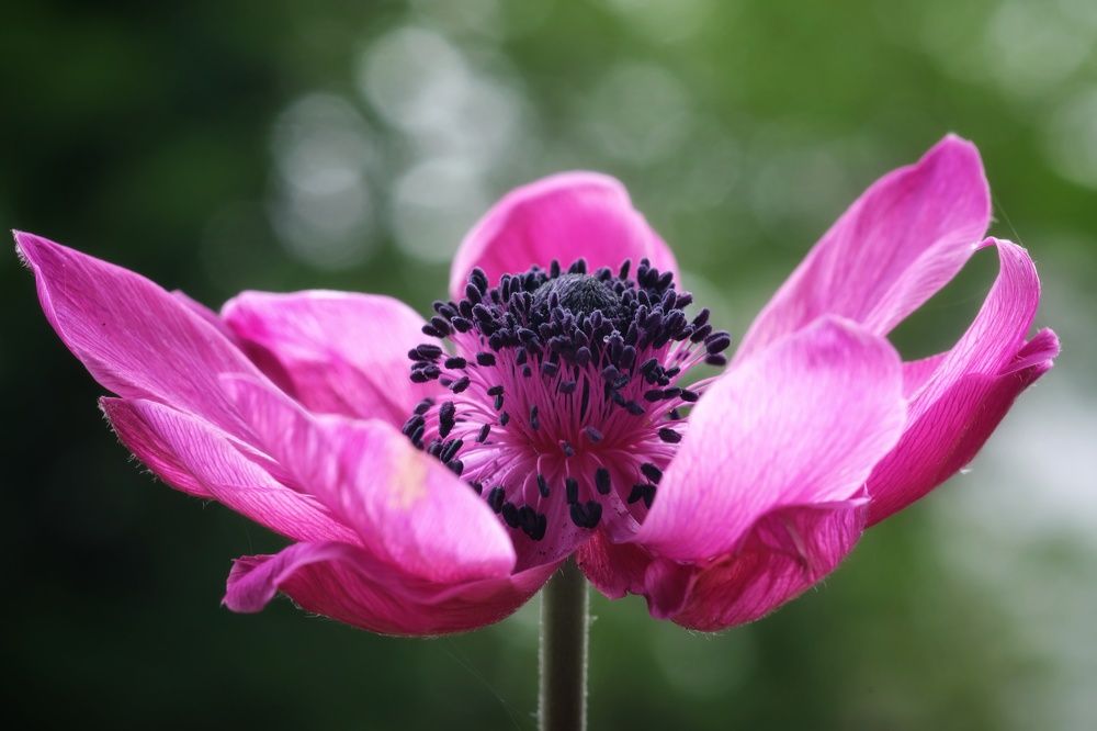 Photograph by Marian Lázaro