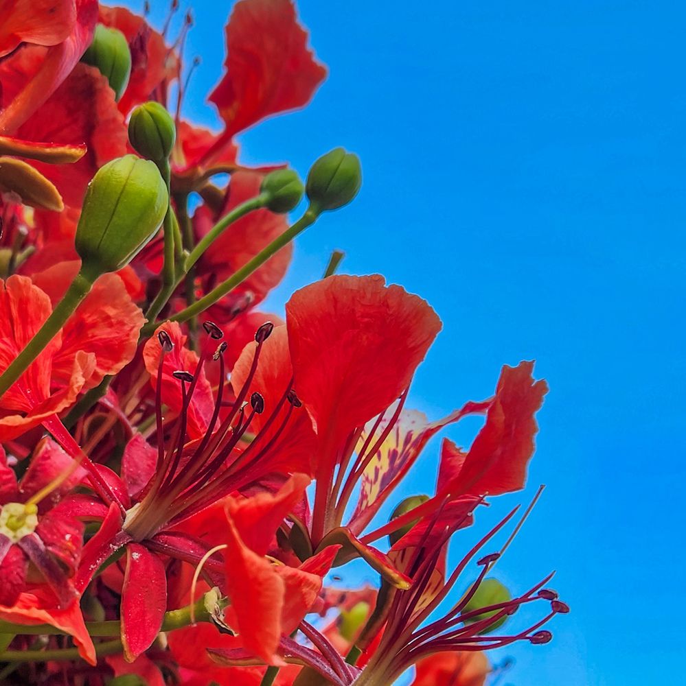 Photograph by Ahmed Ehab Akl