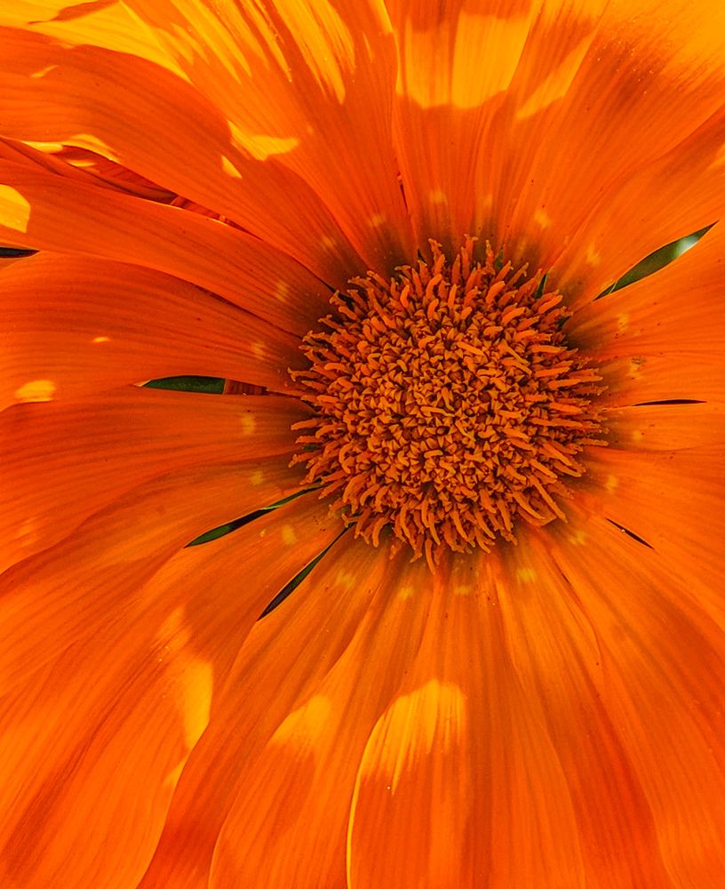 Photograph by Ahmed Ehab Akl