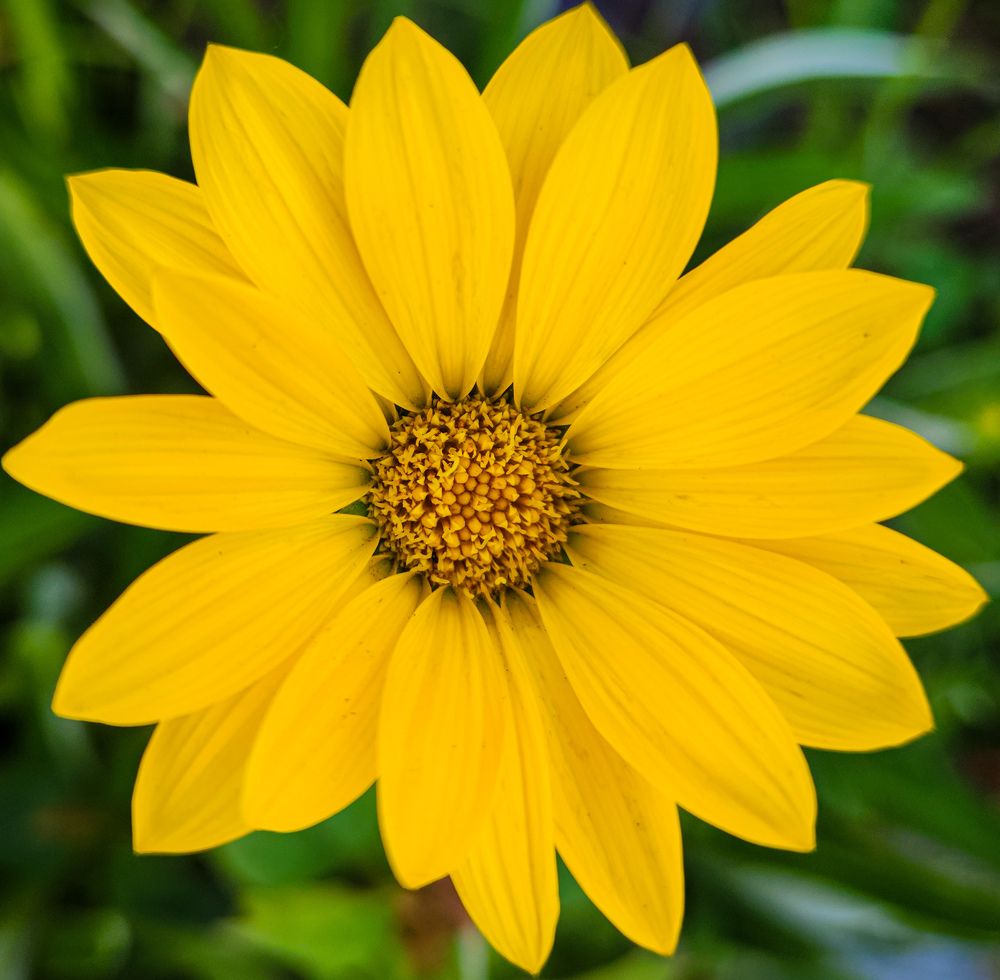 Photograph by Ahmed Ehab Akl