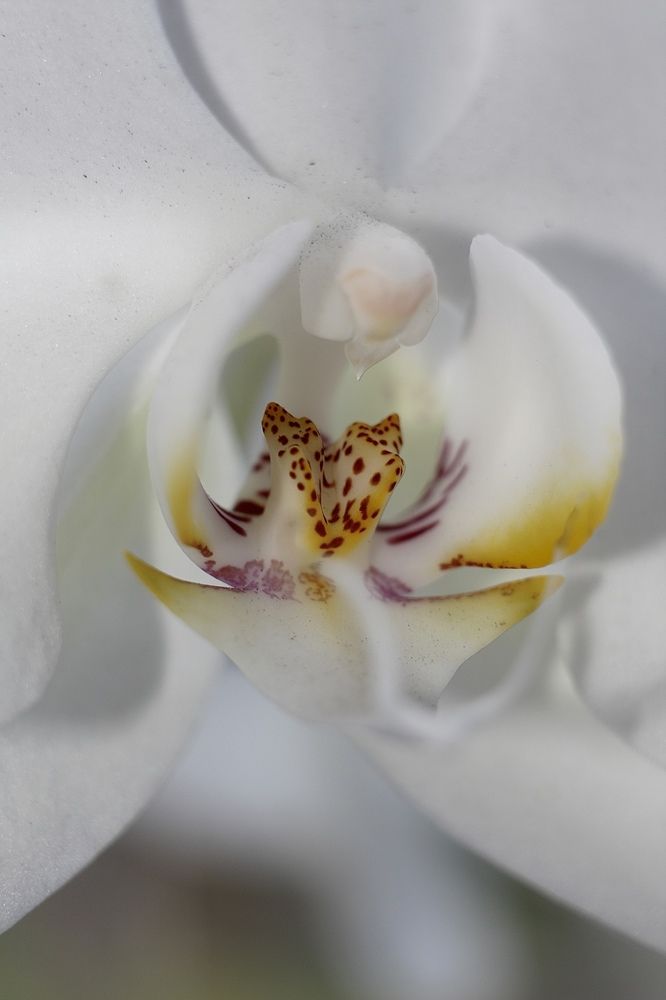 Photograph by Юлия Саморукова