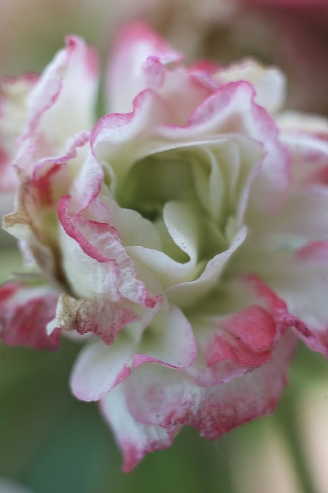 Photograph by Юлия Саморукова