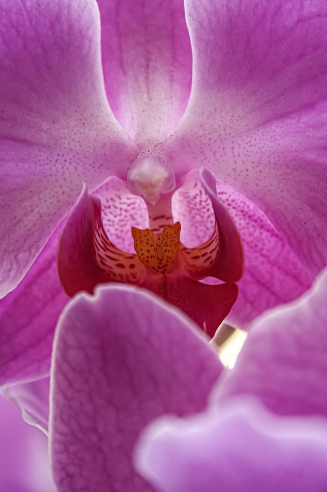 Photograph by Юлия Саморукова