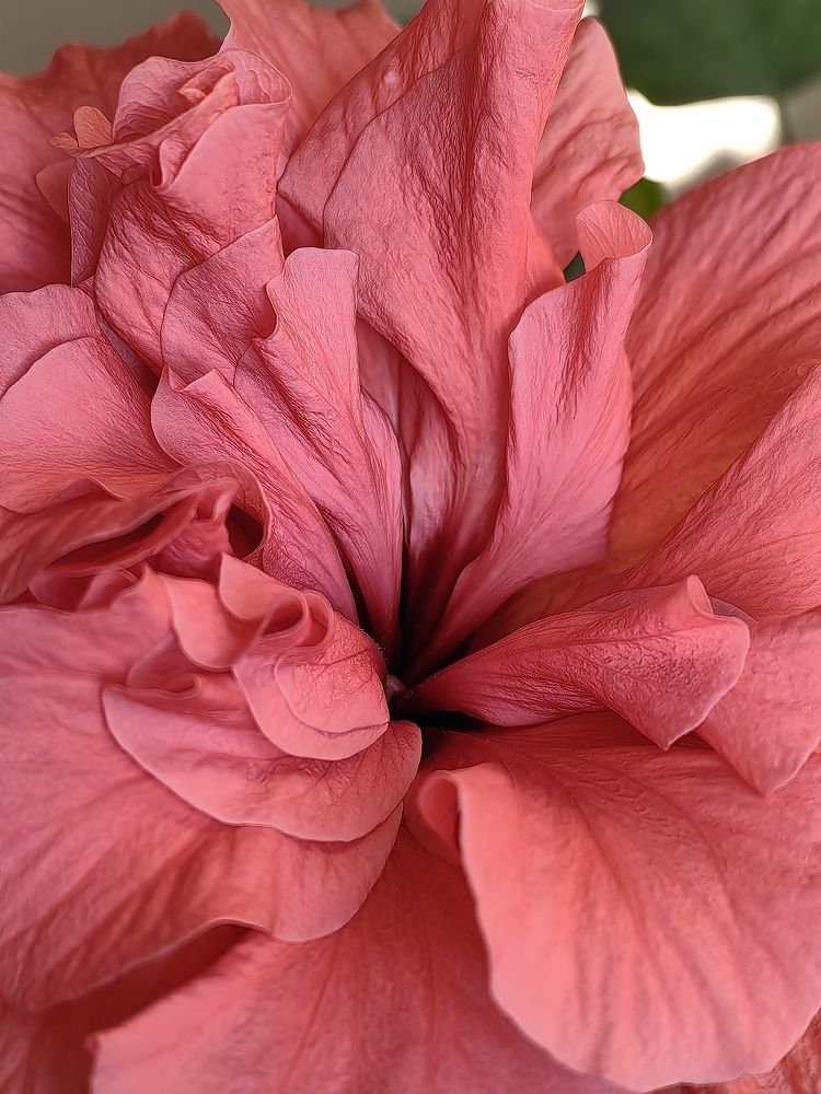 Photograph by Сергей Игнатьев