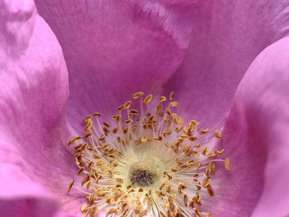 Photograph by Сергей Игнатьев