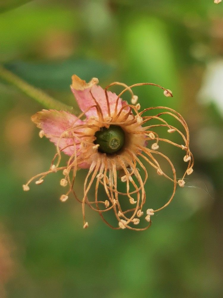 Photograph by Nikolett Mengyi