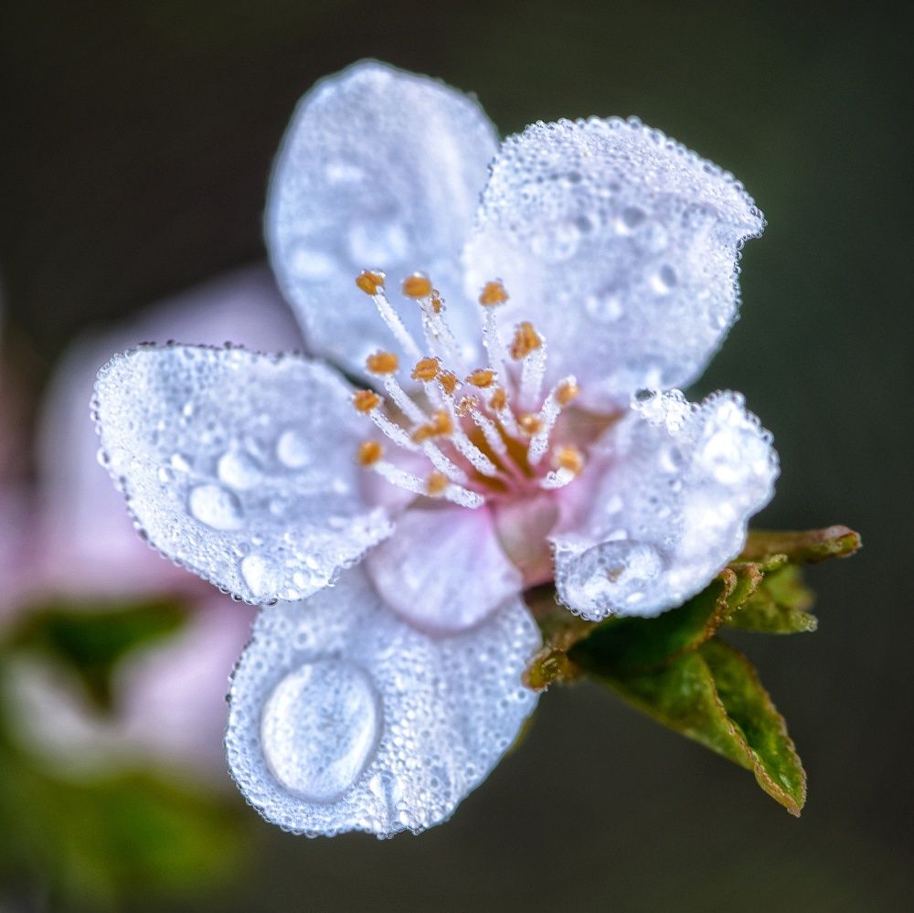 Photograph by Василиса Прекрасная
