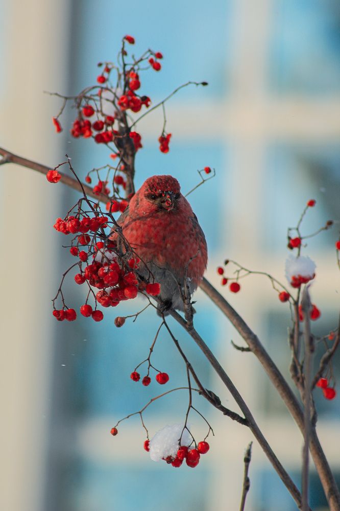 Photograph by Юлия Саморукова
