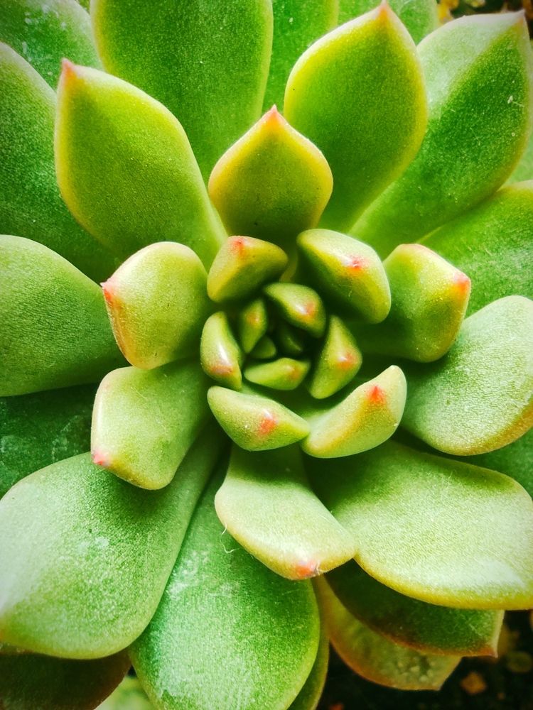 Photograph by Александра