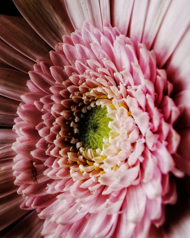 Photograph by Елена Артёменко