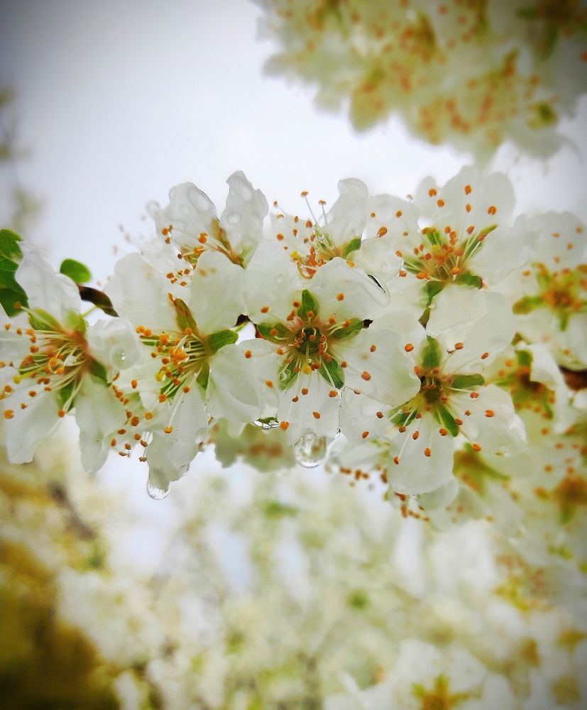 Photograph by Александра