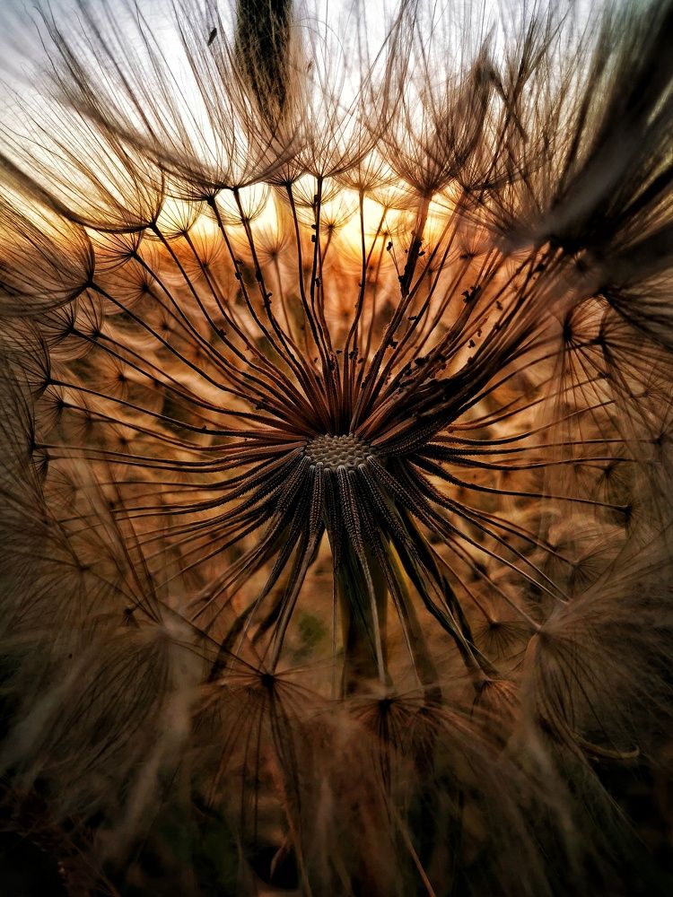 Photograph by Елена Артёменко