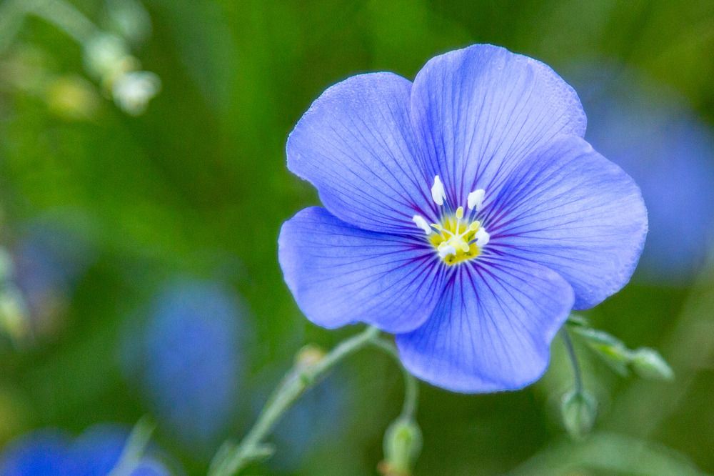 Photograph by Александр Вандеров