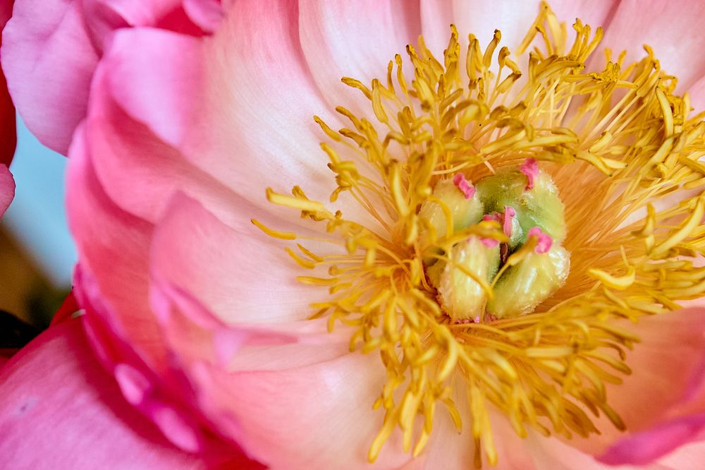 Photograph by Голованов Николай