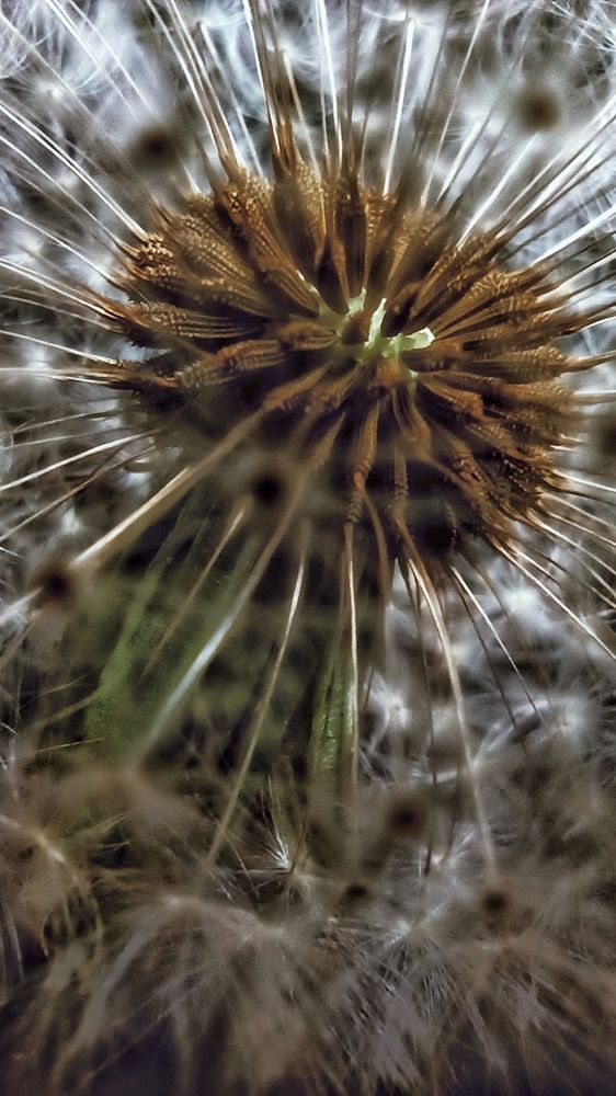 Photograph by Светлана Барабанова