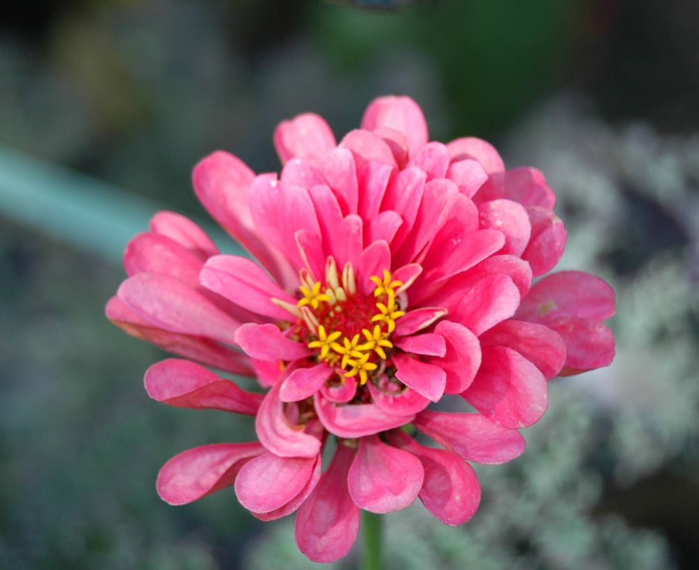 Photograph by Алексей Патлах