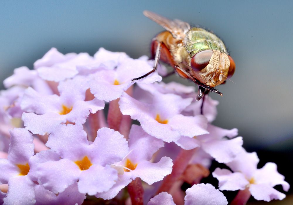 Photograph by Bekir Yesiltas