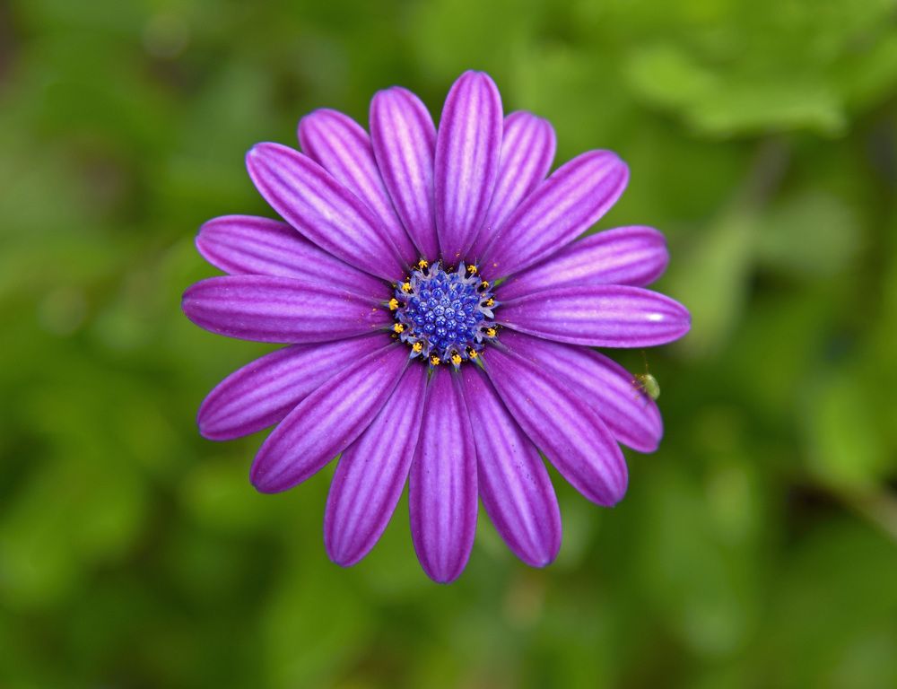 Photograph by Bekir Yesiltas