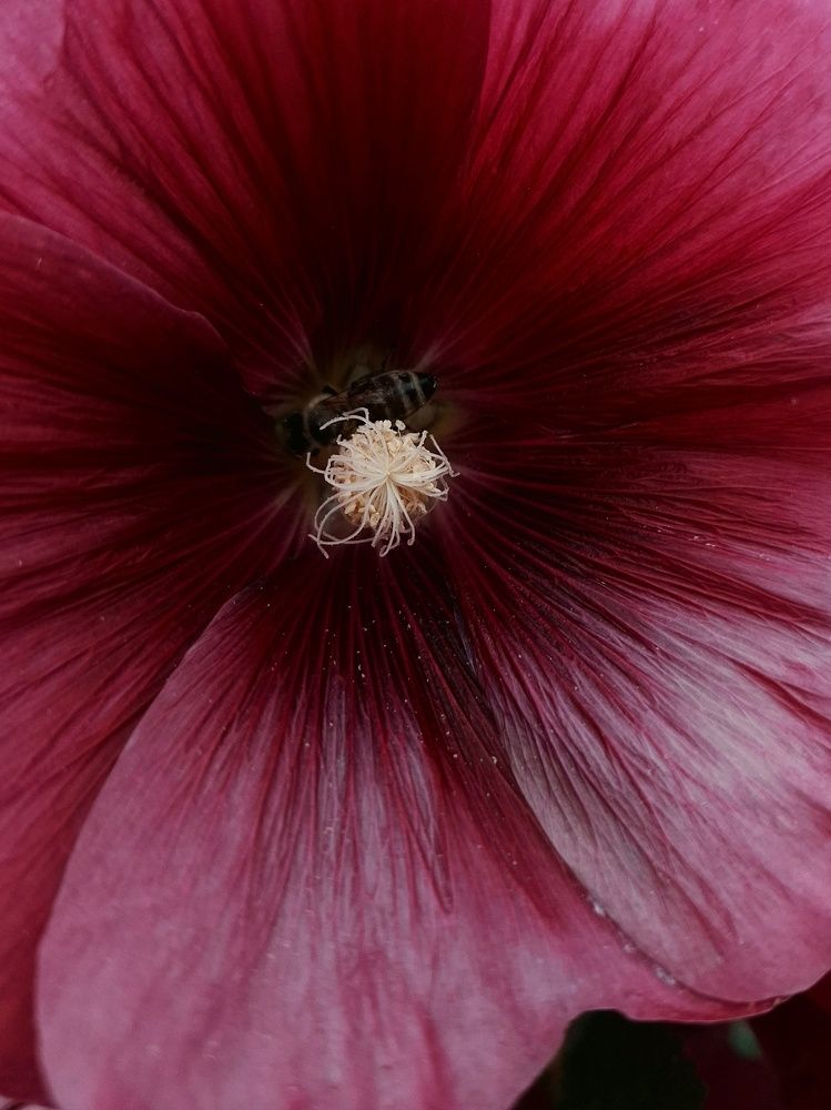 Photograph by Катерина Солдатова