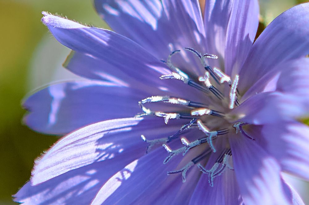 Photograph by Голованов Николай