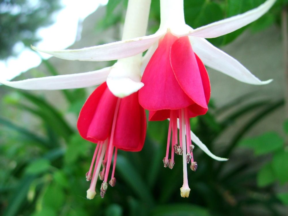 Photograph by Cengiz Yalcin