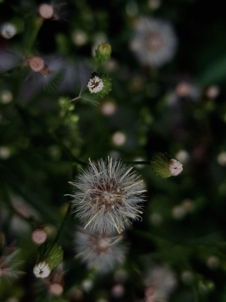 Photograph by Катерина Солдатова