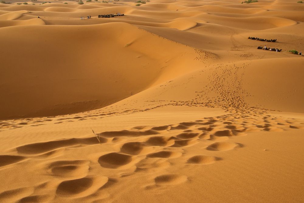 Photograph by Takis Bananis