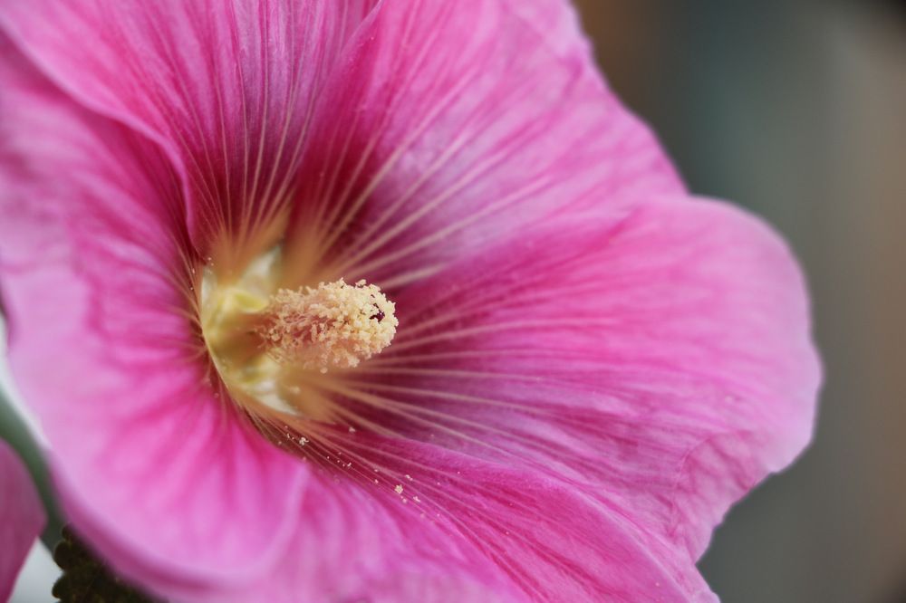 Photograph by Cengiz Yalcin