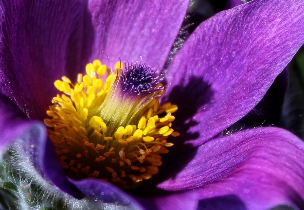 Photograph by Татьяна Сычёва