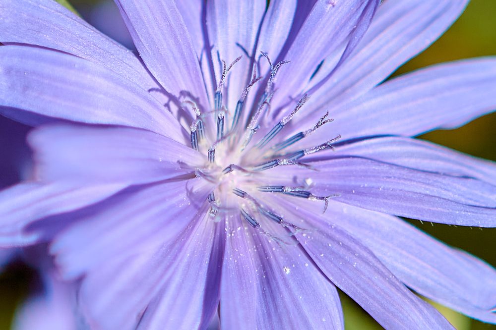 Photograph by Голованов Николай