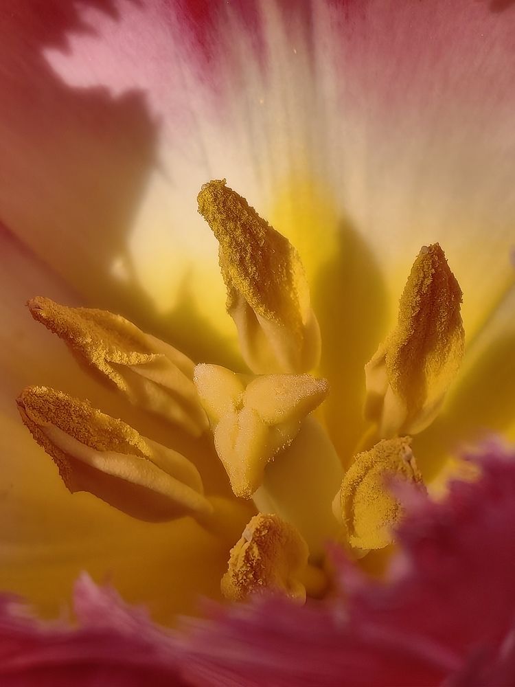 Фотография автора Ольга Панасюк