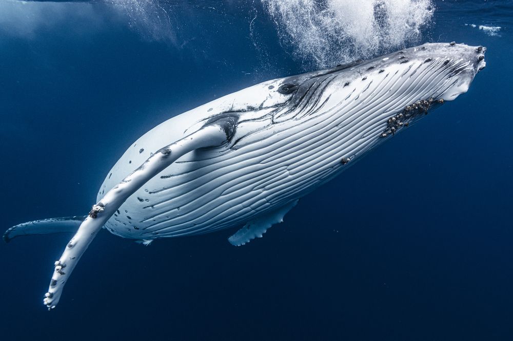 Photograph by Kurashima Daisuke