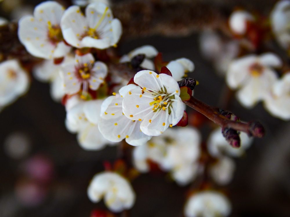 Photograph by Бабицын Алексей