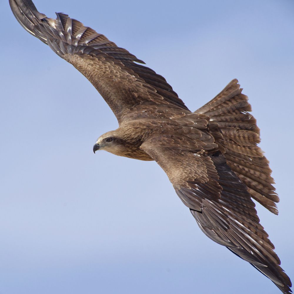 Фотография автора Семоха Валерий