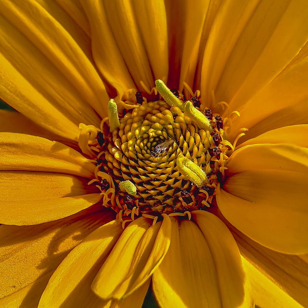 Photograph by Сергей Балашов