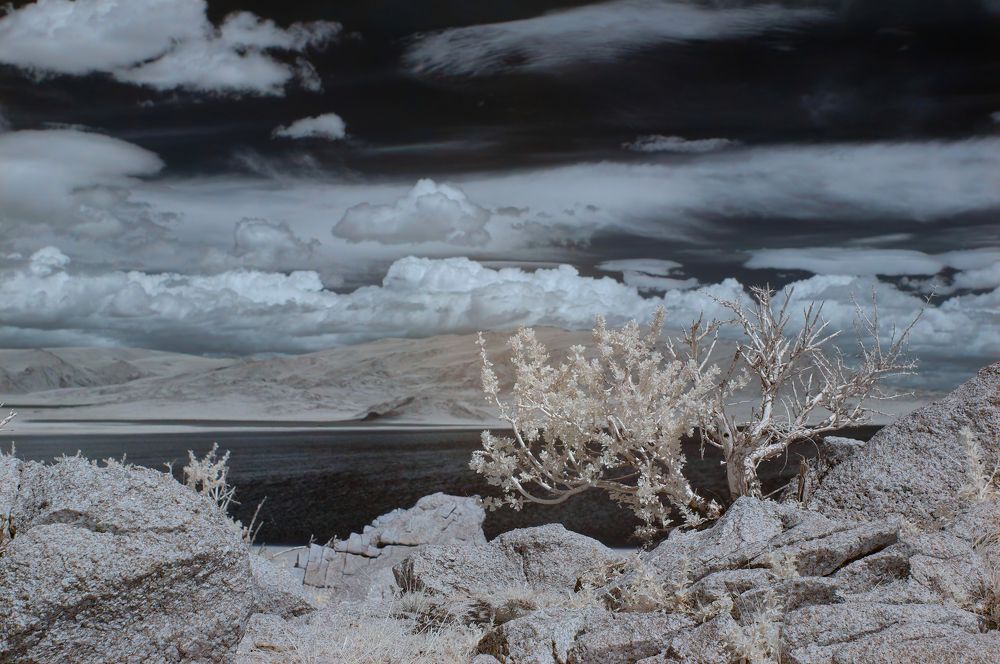 Фотография автора Семоха Валерий