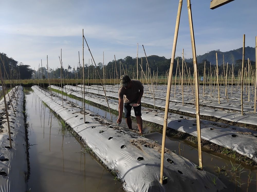 Photograph by Adal Adams Adal