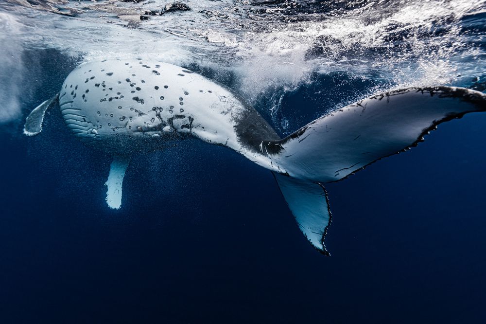 Photograph by Kurashima Daisuke