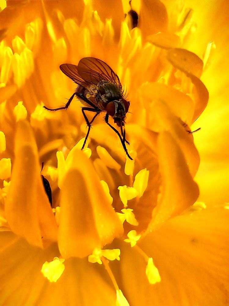 Photograph by OLGA MIKHNEVICH