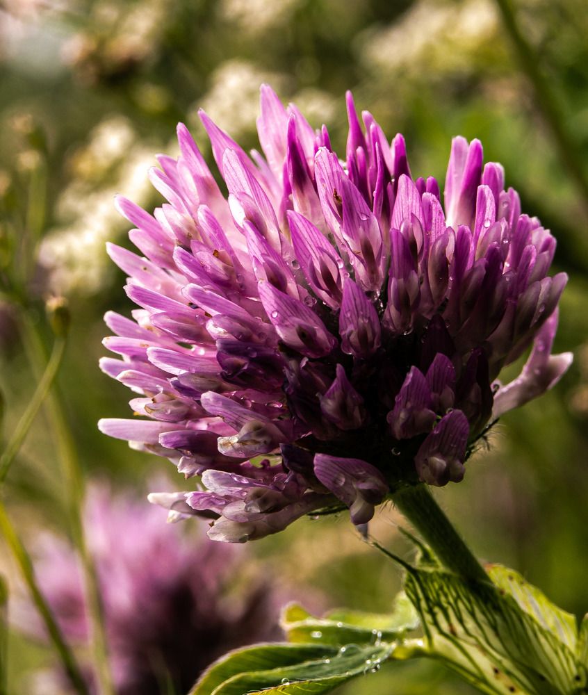 Photograph by Алексей Патрушев