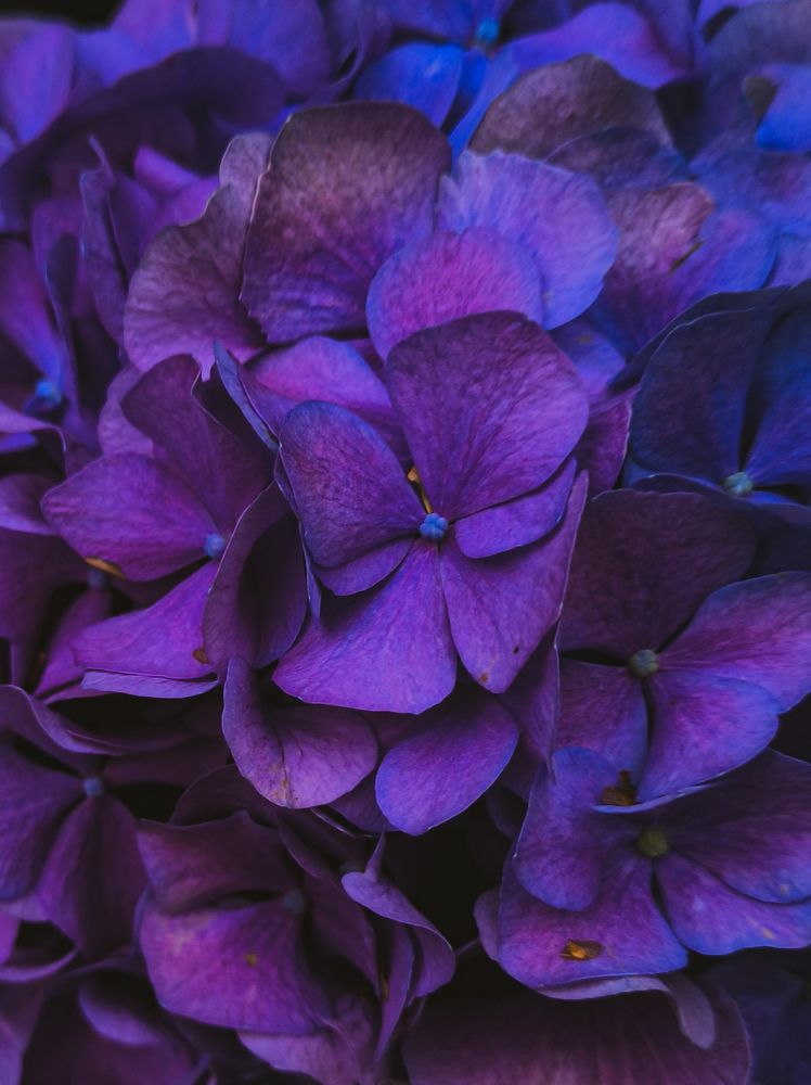 Фотография автора Олеся Непомнящих