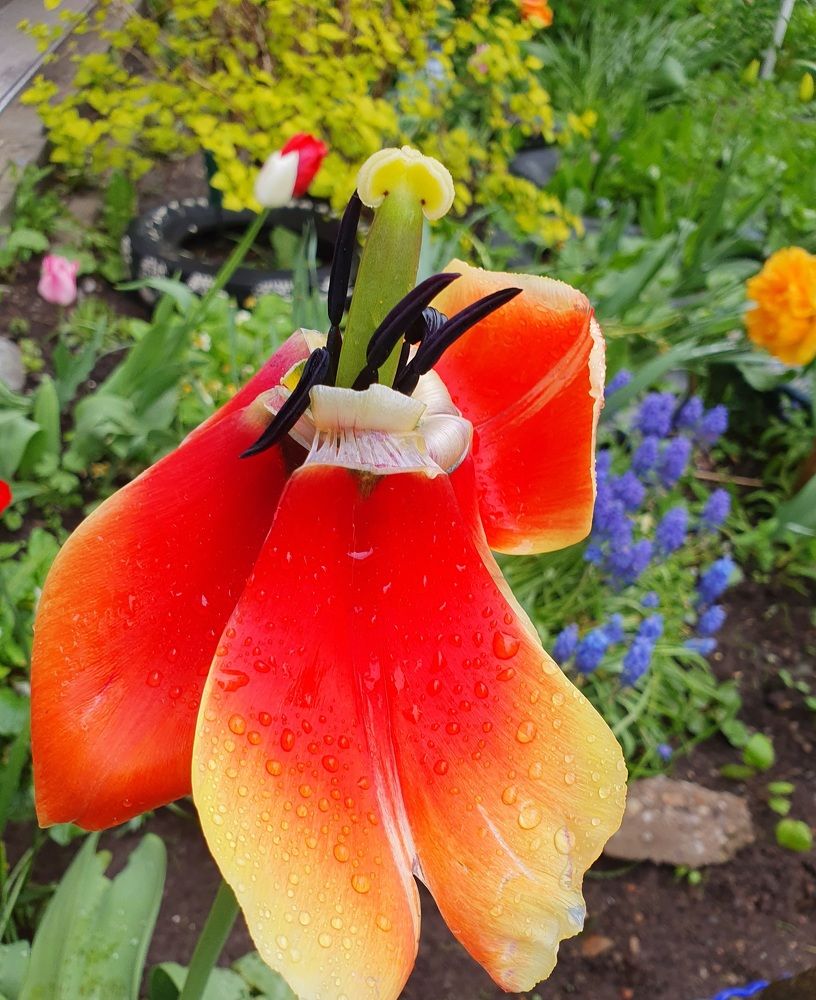 Photograph by Жанна Регор