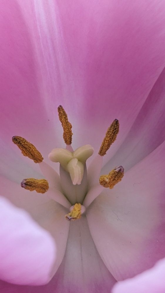 Photograph by Lilit Petrosyan