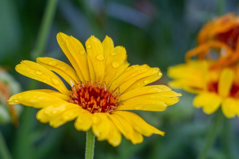 Photograph by Александр Вандеров