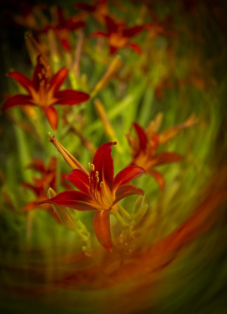 Photograph by Katja Sen