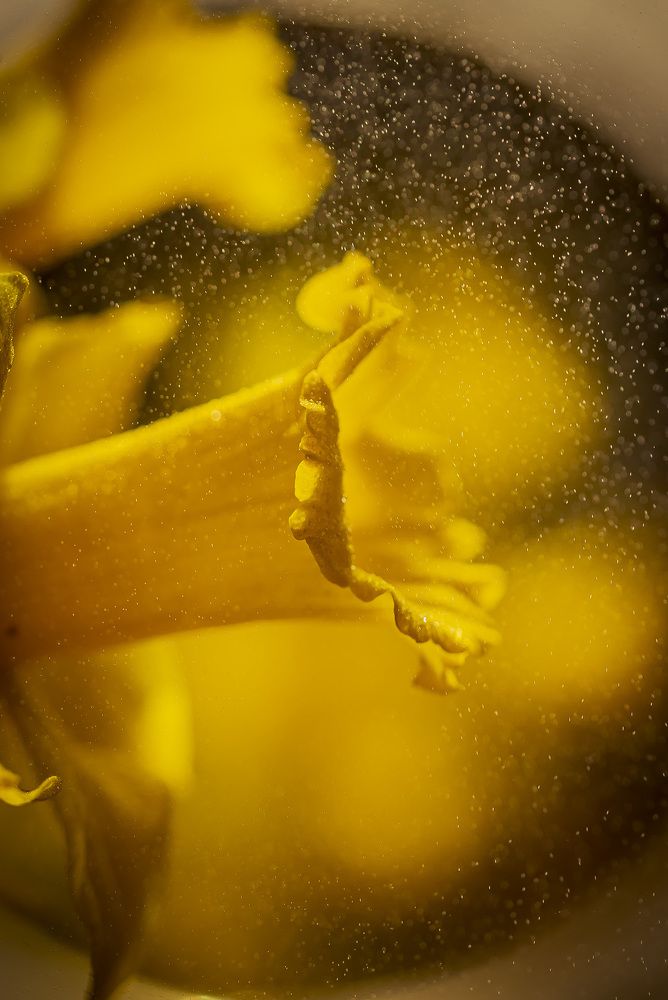 Photograph by Katja Sen