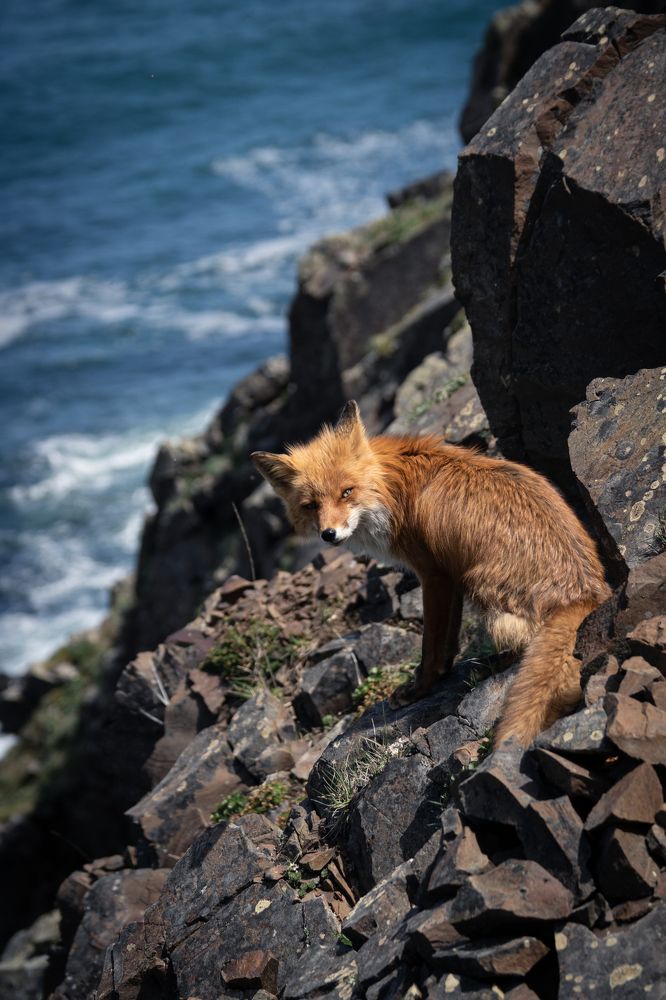 Photograph by Svetlana