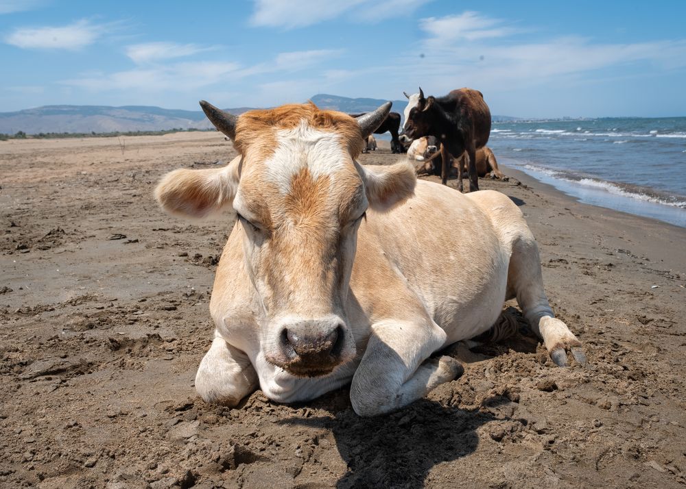 Photograph by Тамара Вотинцева